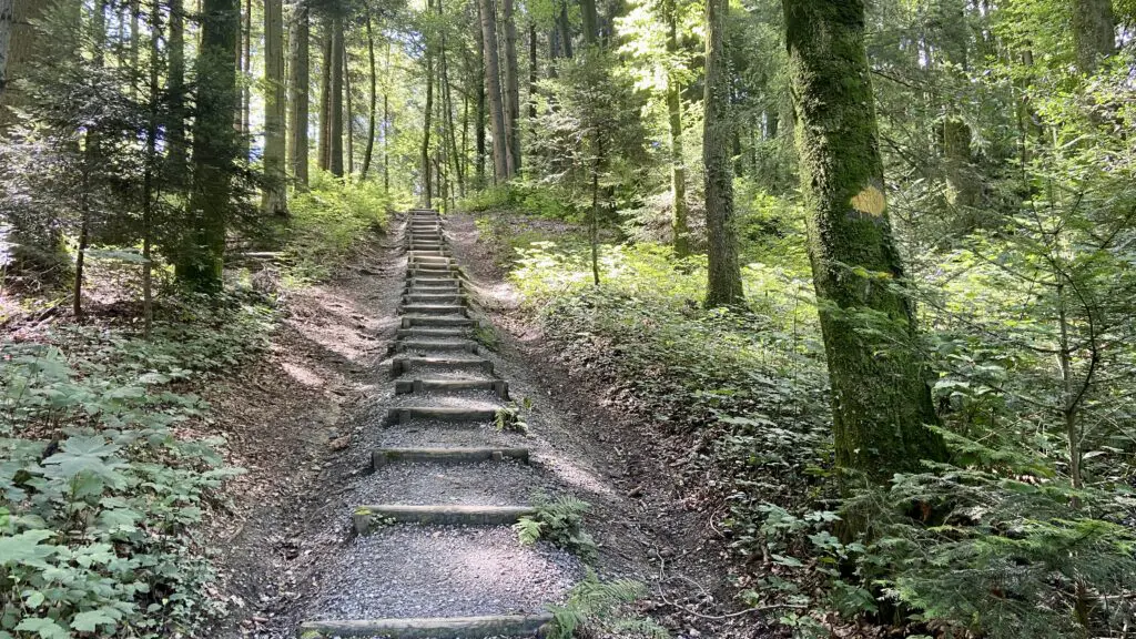 walking trails at bireggwald near lucerne switzerland