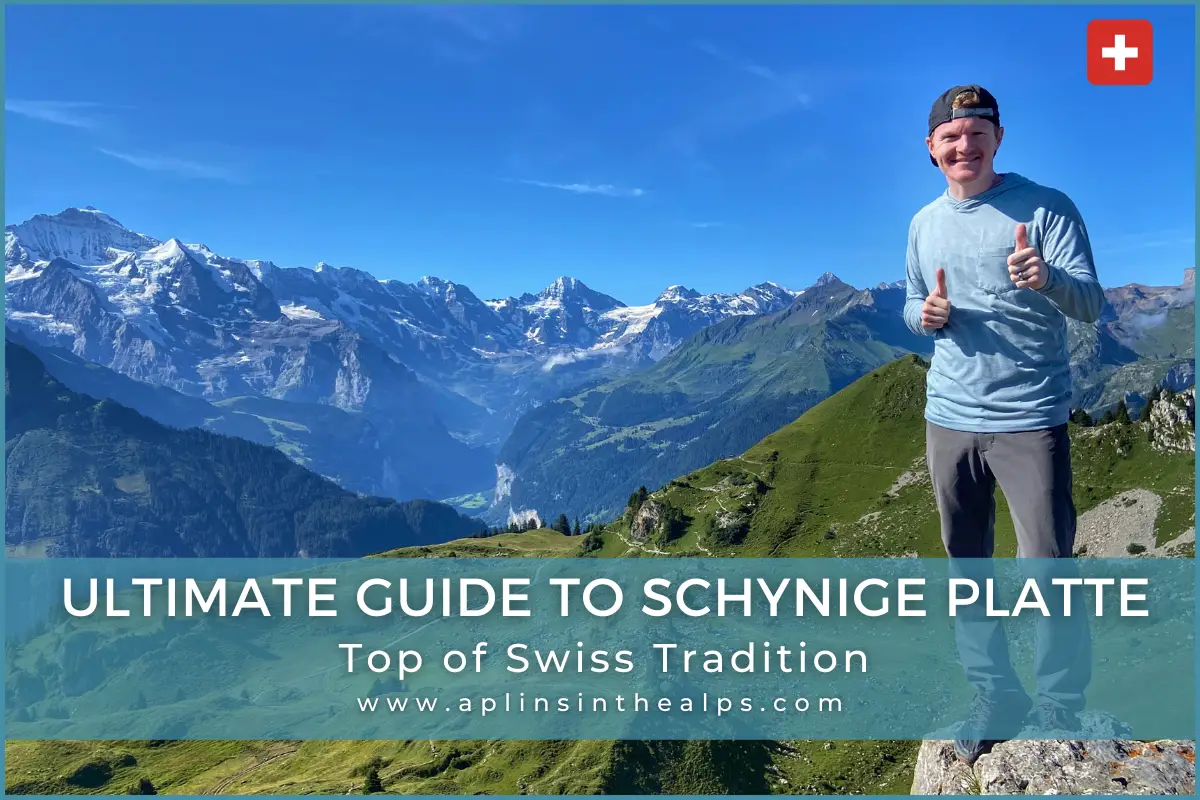 ultimate guide to schynige platte top of swiss tradition aplins in the alps
