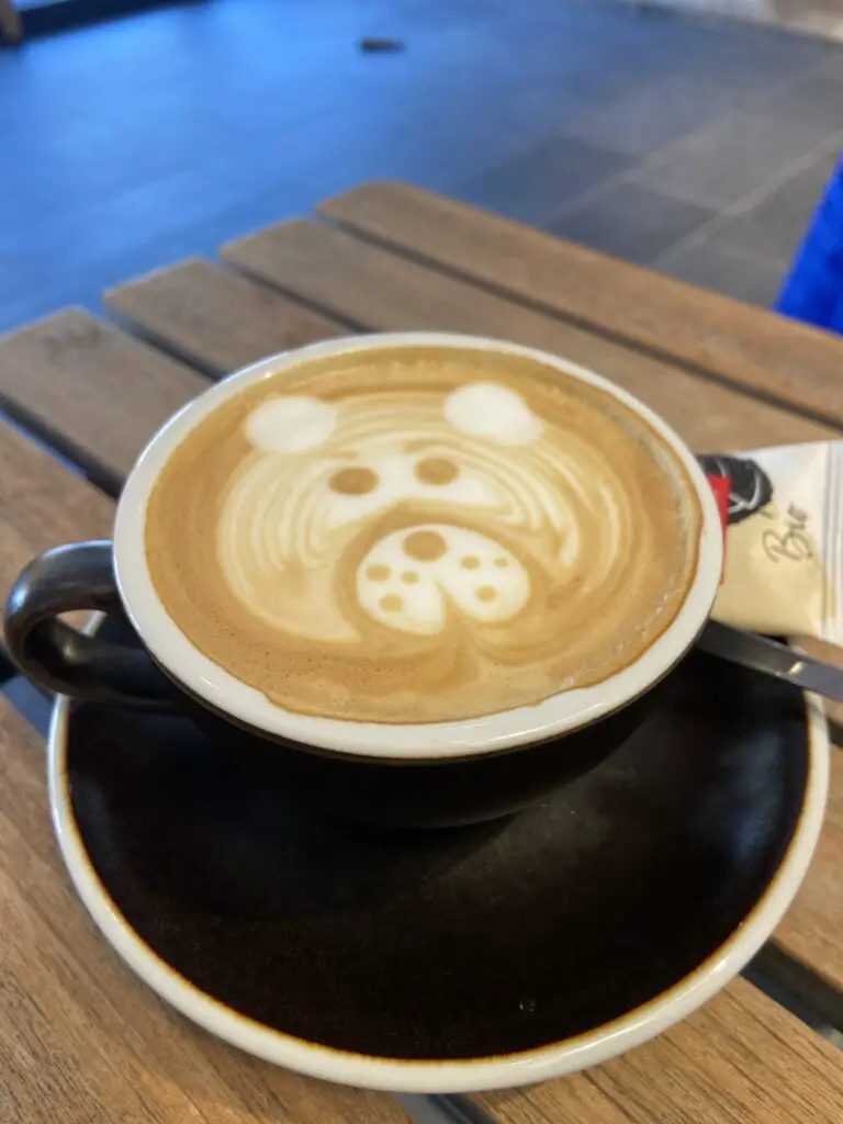 bear cappuccino at insport coffee bar murren switzerland