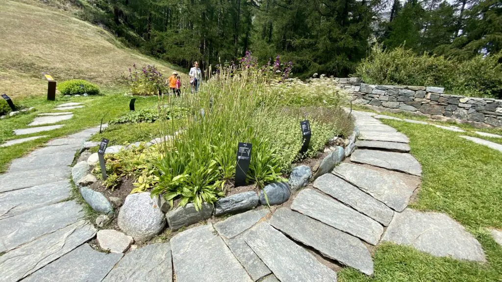 ricola herb garden blatten zermatt switzerland