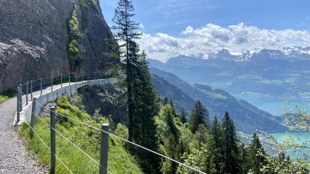 rigi falsenweg trail