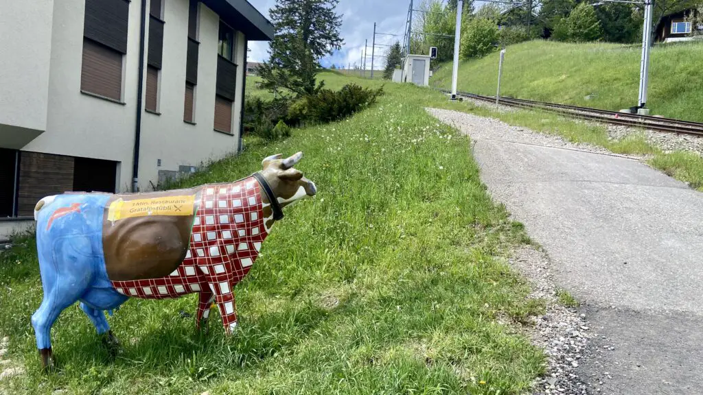 cow pointing to restaurant Gratalpstubli rigi kaltbad