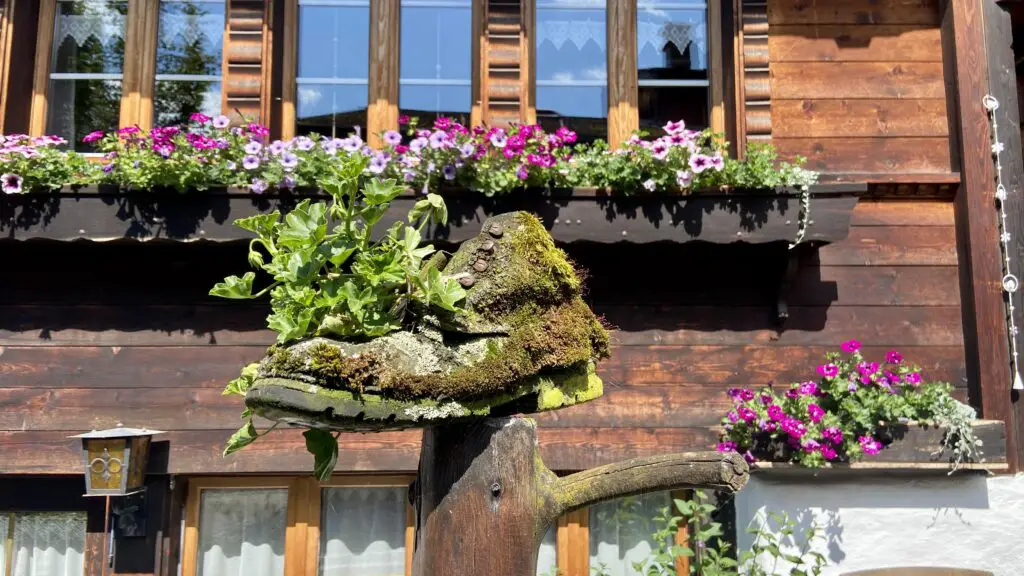 old shoe with plants on the second most beautiful street in the world brunngasse switzerland brienz