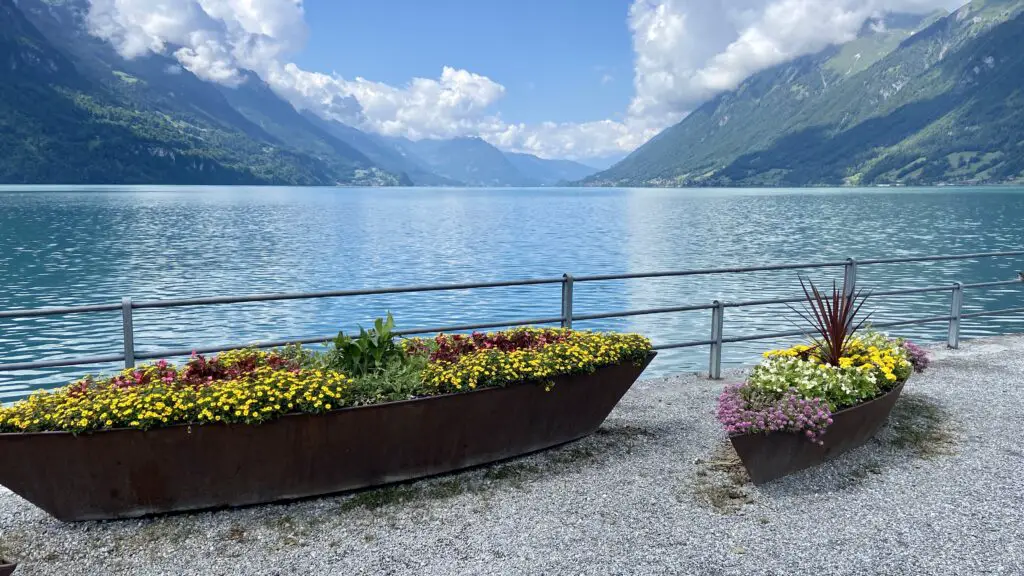 flower boxes on brienz seepromenade