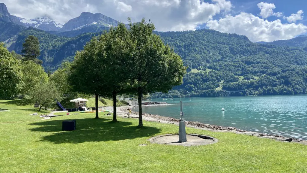 shady trees at brienz strandbad on lake brienz