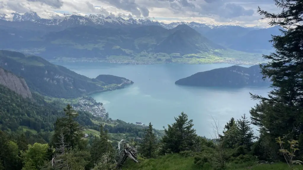 view of lake lucerne and swiss alps from the vitznau rigi cowheel train