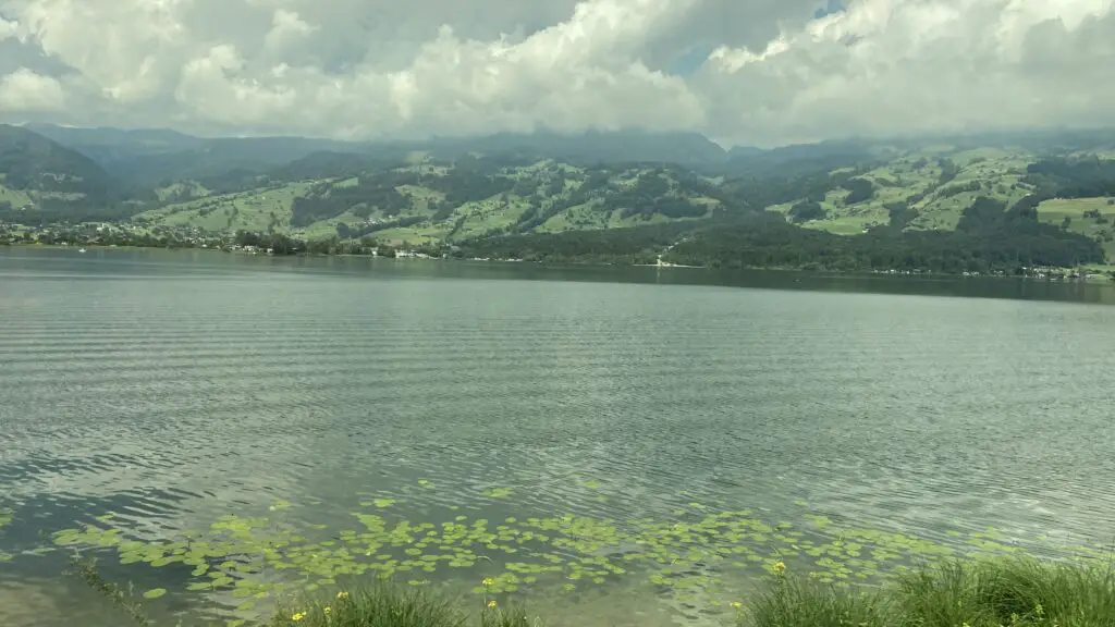 view of lake sarnen switzerland from the luzern interlaken express