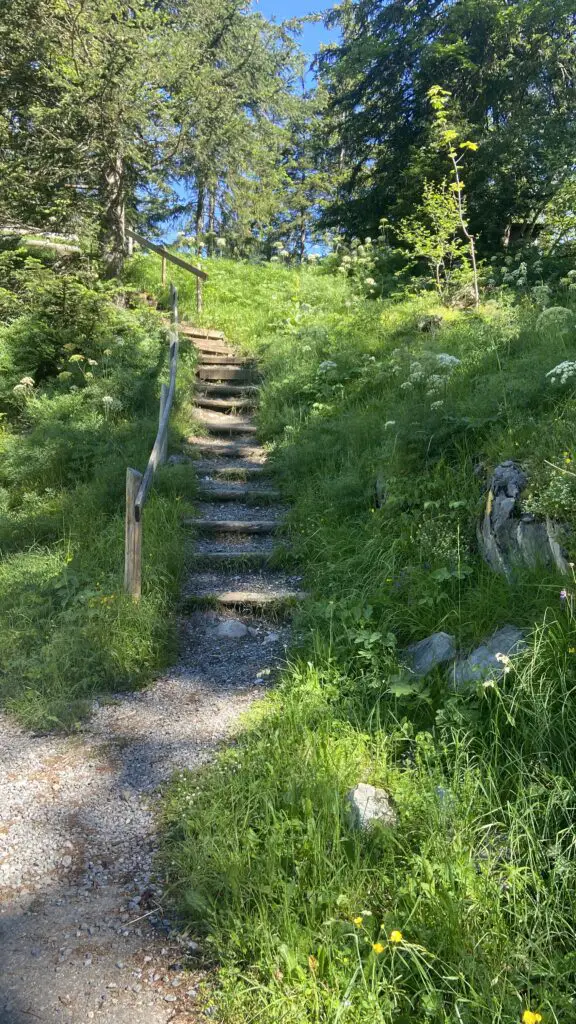 steps to the sulwald viewpoint