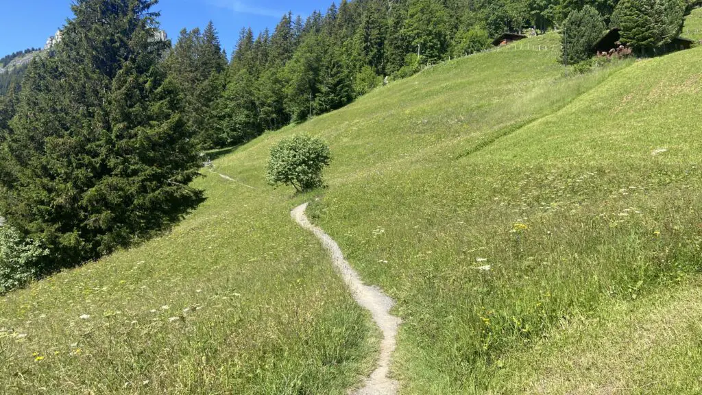 hiking trail from sulwald switzerland