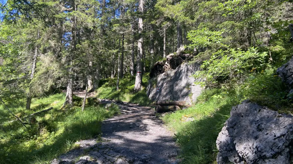 mountain hiking trail from sulwald switzerland