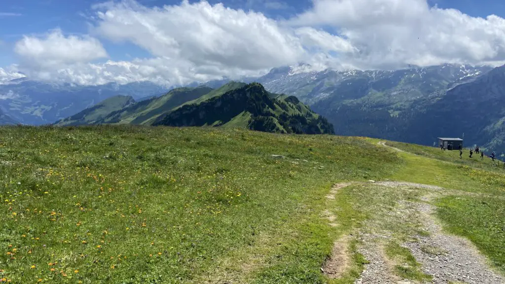 walking through grassy paths to fronalpstock switzerland