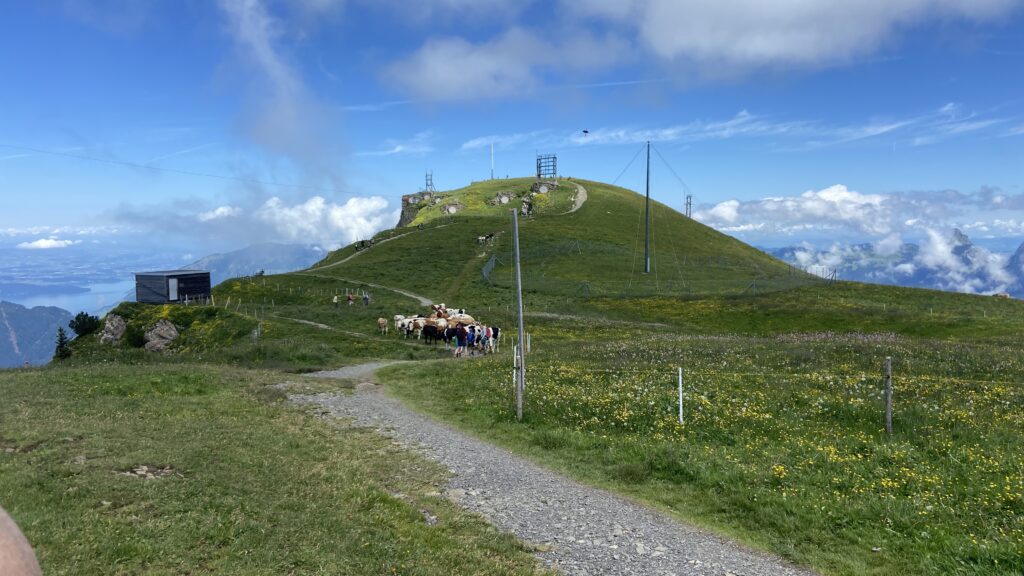 view of fronalpstock switzerland from the stoos ridge trail