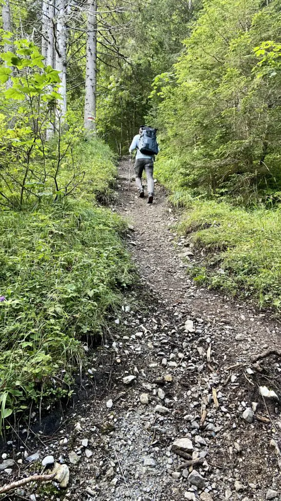 brett hiking steep ascent through the forest from gimmelwald to tanzbödeli