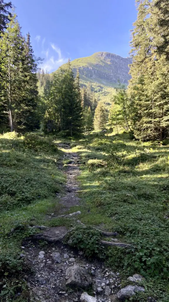 view of the swiss alps from the trail to tanzbodeli