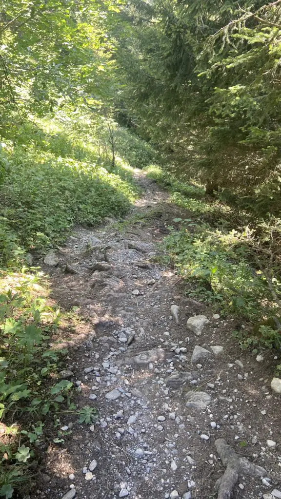 trail down from obersteinberg to Trachsellauenen