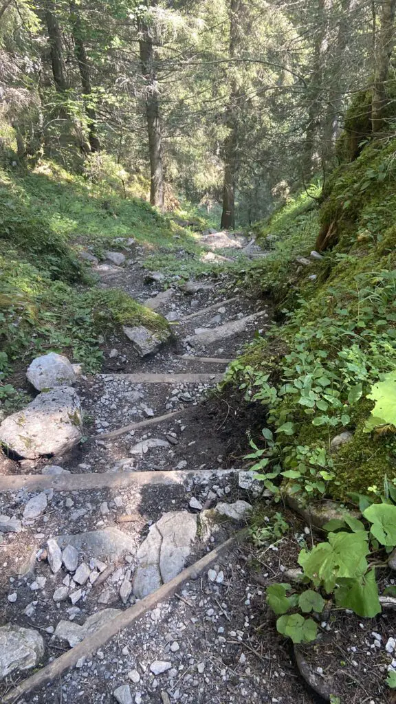 steep descending stairs from obersteinberg to Trachsellauenen