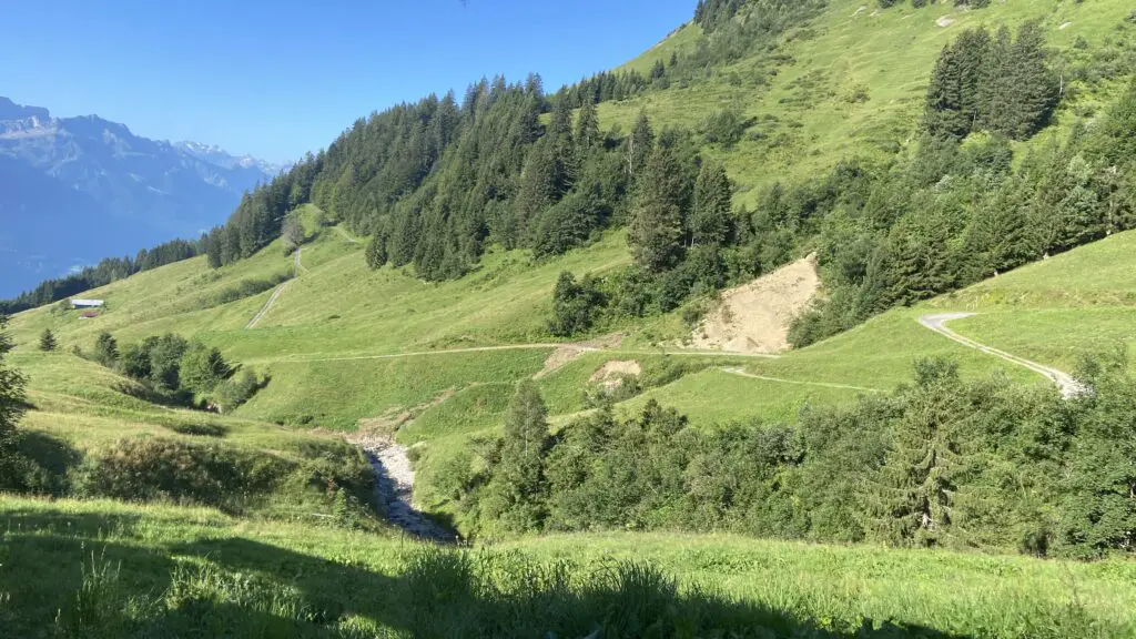 view of the swiss alps from the brienz rothorn steam train