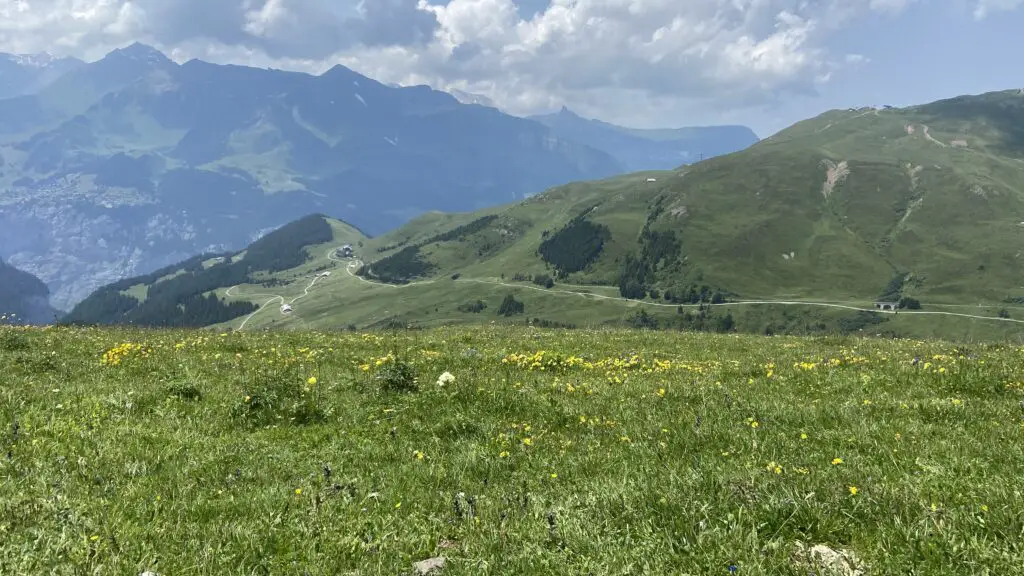 wengernalp railway view from eigergletscher