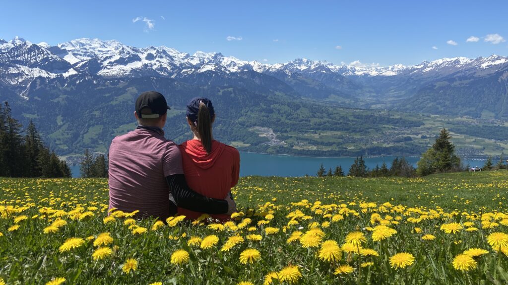 aplins in the alps at niederhorn switzerland views of the swiss alps