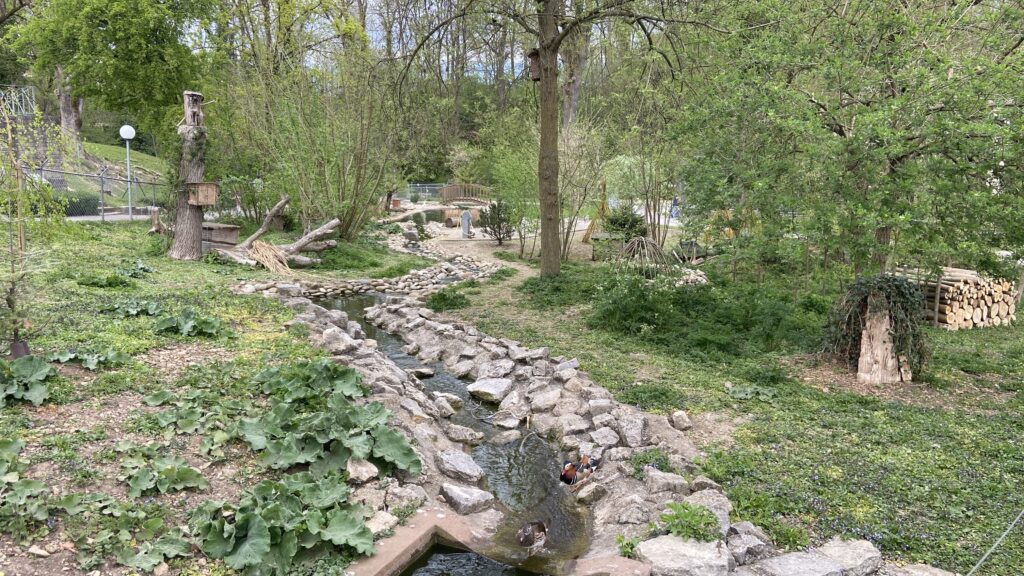 augusta raurica roman ruins in basel switzerland animal park