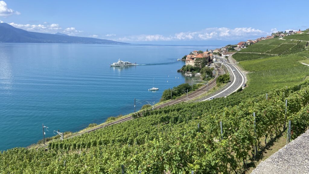 view over lavaux vineyards in switzerland lake geneva