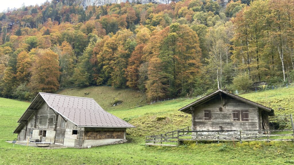 fall in grindelwald switzerland
