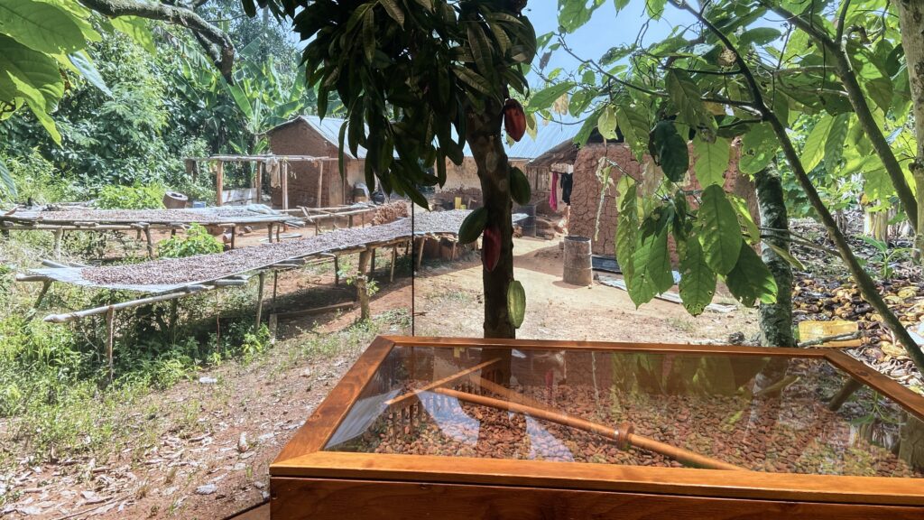 lindt home of chocolate museum cocoa