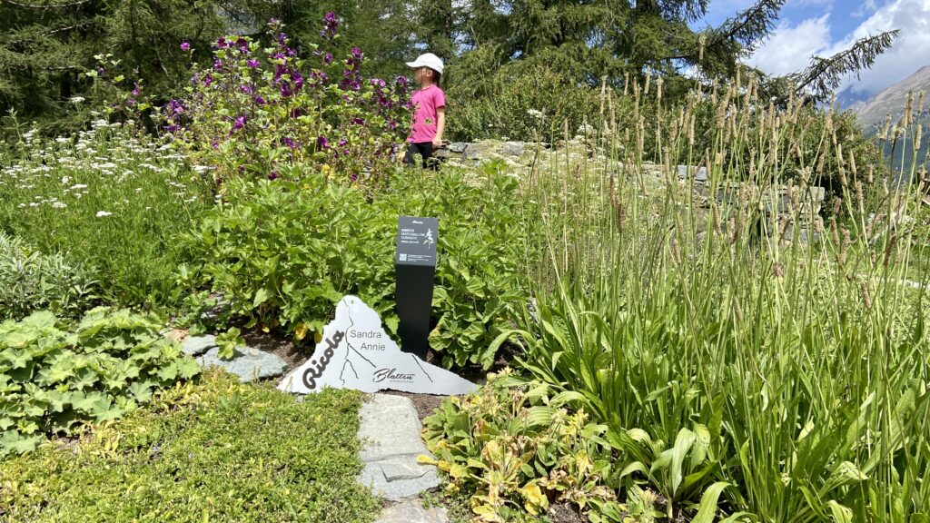 ricola herb garden plants furi zermatt