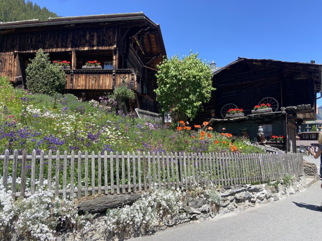 flower garden and wooden chalets in murren switzerland